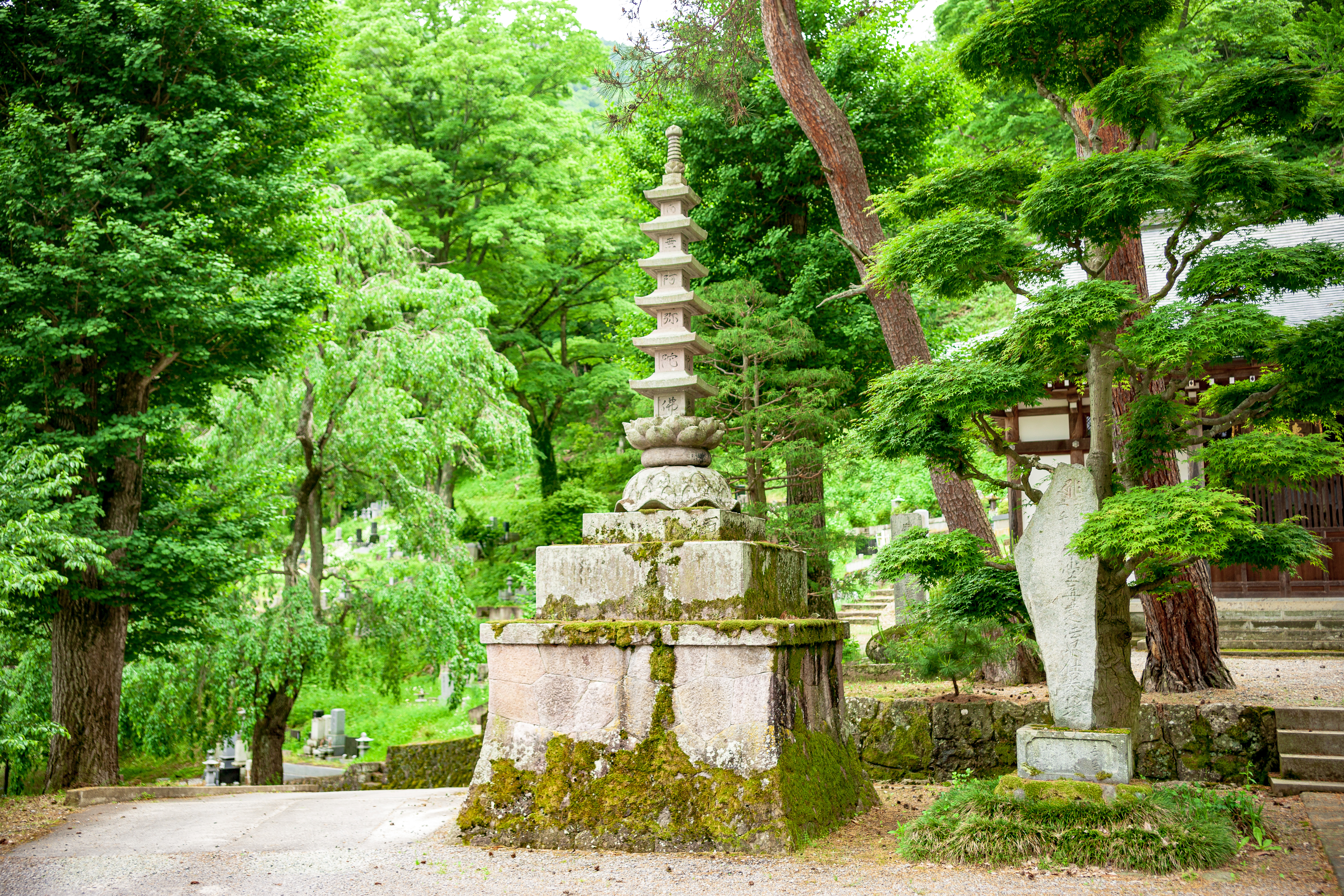 六重の塔 | 井上山 無量寿院 浄運寺